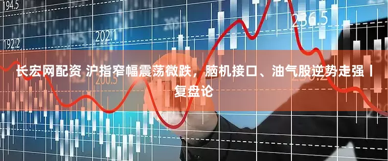 长宏网配资 沪指窄幅震荡微跌，脑机接口、油气股逆势走强丨复盘论